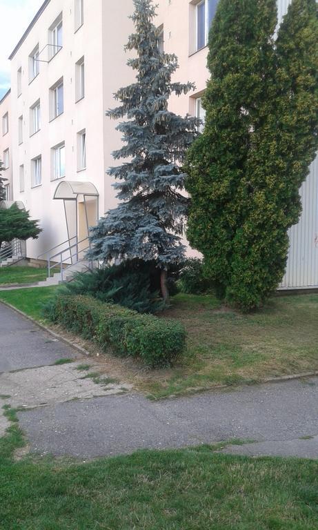 Apartment Ortenova 74 Kutná Hora Buitenkant foto