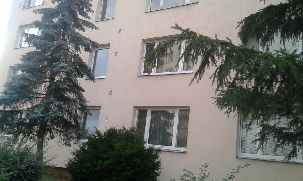 Apartment Ortenova 74 Kutná Hora Buitenkant foto